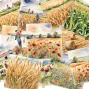 Preview: LaCreativ - Designpapier "Traumhafte Bauernhofidylle" Paper Pack 6x6" - 24 Bogen